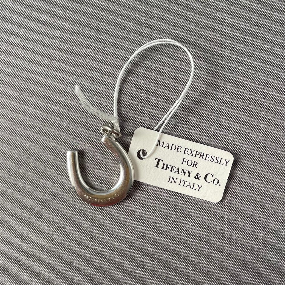 Tiffany & Co. Horseshoe Pendant